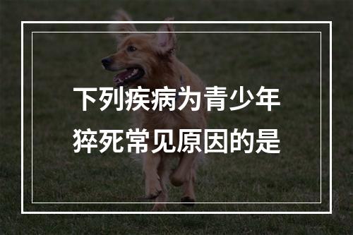 下列疾病为青少年猝死常见原因的是