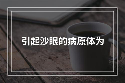 引起沙眼的病原体为