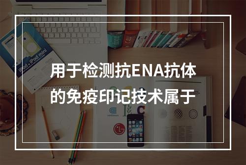 用于检测抗ENA抗体的免疫印记技术属于