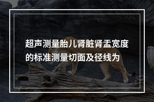 超声测量胎儿肾脏肾盂宽度的标准测量切面及径线为