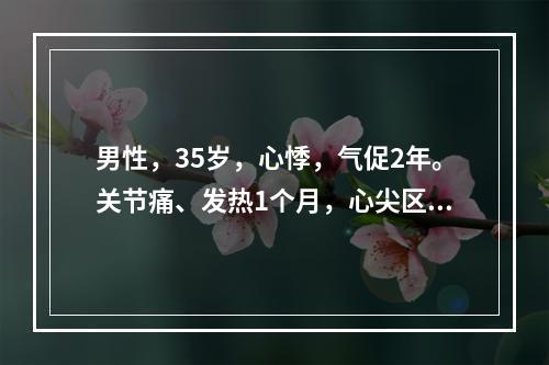 男性，35岁，心悸，气促2年。关节痛、发热1个月，心尖区可闻