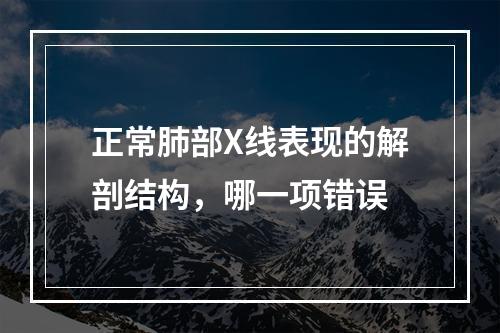 正常肺部X线表现的解剖结构，哪一项错误