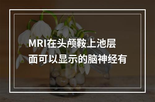 MRI在头颅鞍上池层面可以显示的脑神经有