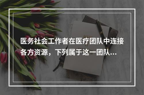 医务社会工作者在医疗团队中连接各方资源，下列属于这一团队的有