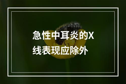 急性中耳炎的X线表现应除外