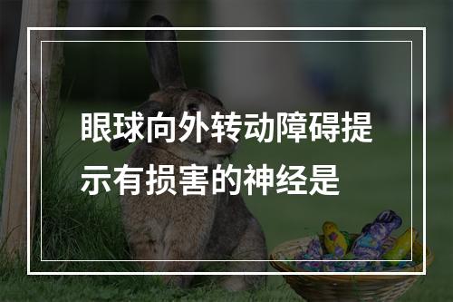 眼球向外转动障碍提示有损害的神经是