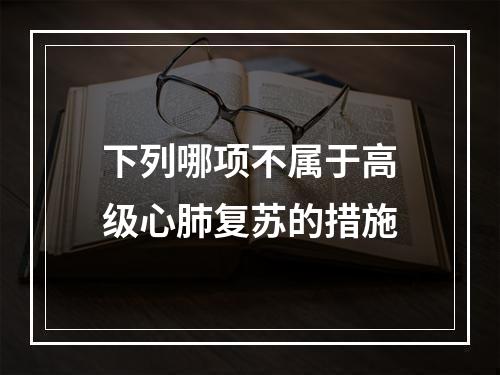 下列哪项不属于高级心肺复苏的措施