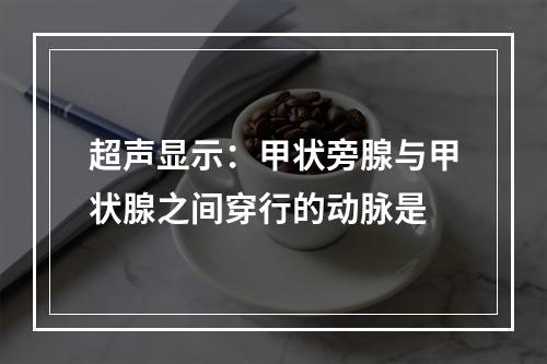 超声显示：甲状旁腺与甲状腺之间穿行的动脉是