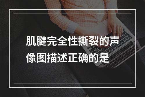 肌腱完全性撕裂的声像图描述正确的是