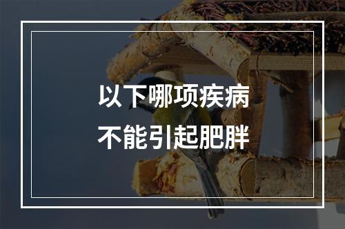 以下哪项疾病不能引起肥胖