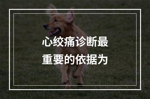 心绞痛诊断最重要的依据为