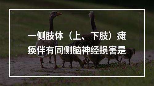 一侧肢体（上、下肢）瘫痪伴有同侧脑神经损害是