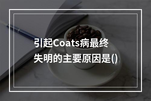 引起Coats病最终失明的主要原因是()