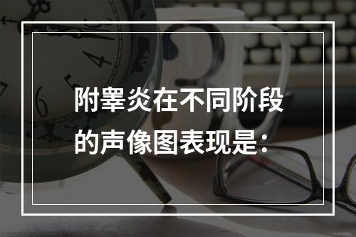 附睾炎在不同阶段的声像图表现是：