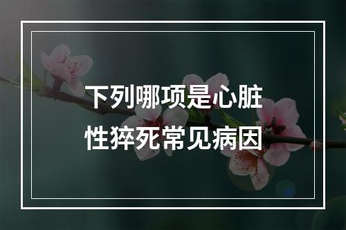 下列哪项是心脏性猝死常见病因