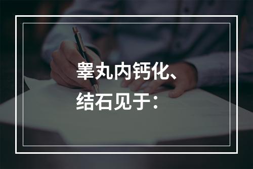 睾丸内钙化、结石见于：