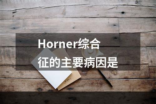 Horner综合征的主要病因是