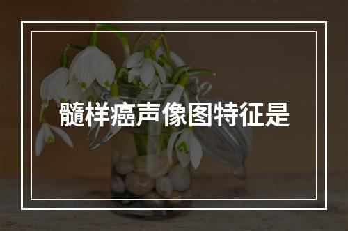 髓样癌声像图特征是