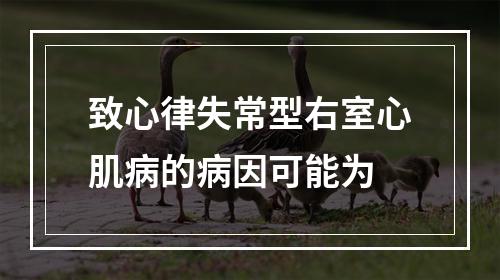 致心律失常型右室心肌病的病因可能为