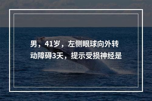 男，41岁，左侧眼球向外转动障碍3天，提示受损神经是