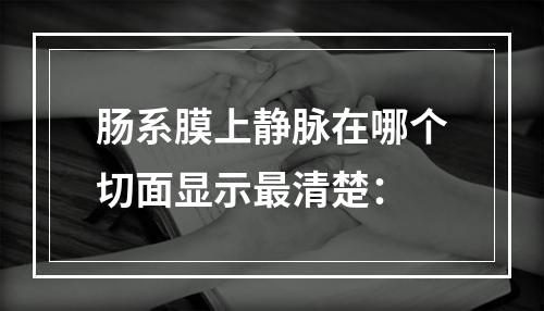 肠系膜上静脉在哪个切面显示最清楚：