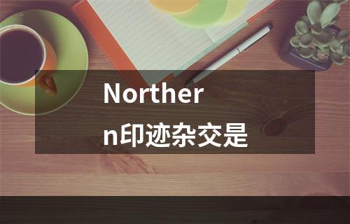 Northern印迹杂交是