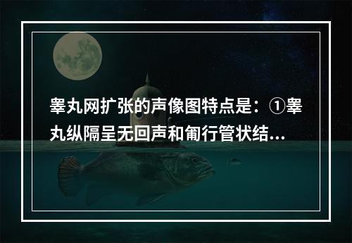 睾丸网扩张的声像图特点是：①睾丸纵隔呈无回声和匍行管状结构②