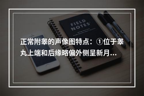 正常附睾的声像图特点：①位于睾丸上端和后缘略偏外侧呈新月形②