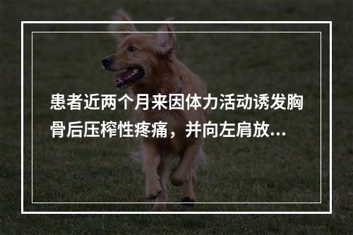 患者近两个月来因体力活动诱发胸骨后压榨性疼痛，并向左肩放射，