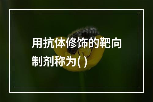 用抗体修饰的靶向制剂称为( )