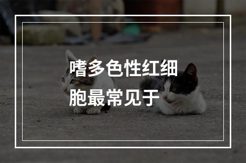 嗜多色性红细胞最常见于