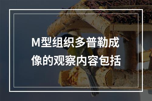 M型组织多普勒成像的观察内容包括