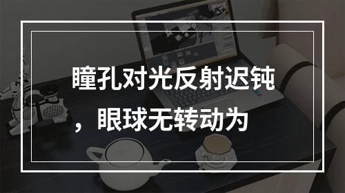 瞳孔对光反射迟钝，眼球无转动为