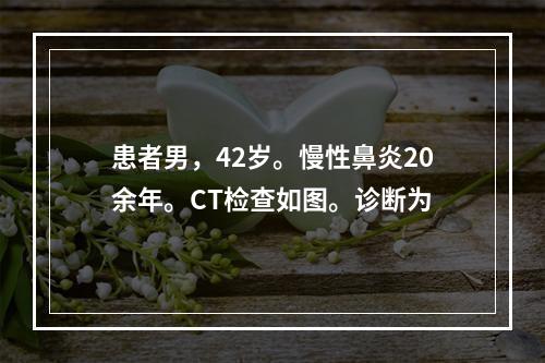 患者男，42岁。慢性鼻炎20余年。CT检查如图。诊断为