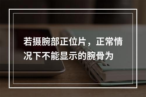 若摄腕部正位片，正常情况下不能显示的腕骨为