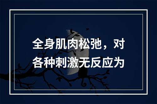 全身肌肉松弛，对各种刺激无反应为