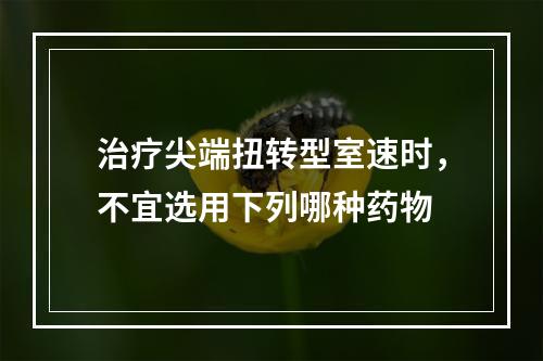 治疗尖端扭转型室速时，不宜选用下列哪种药物