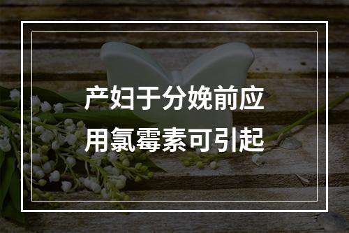 产妇于分娩前应用氯霉素可引起