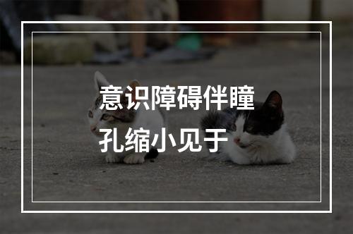 意识障碍伴瞳孔缩小见于