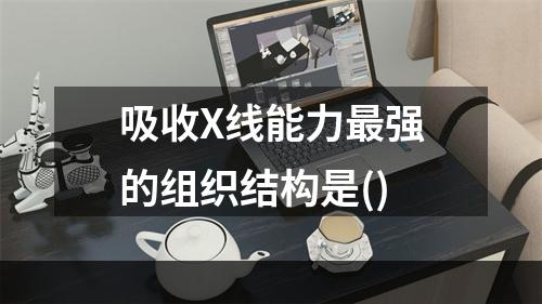 吸收X线能力最强的组织结构是()