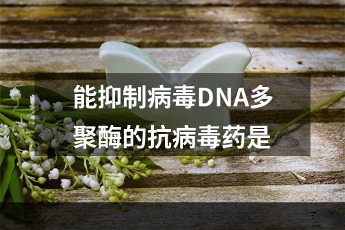 能抑制病毒DNA多聚酶的抗病毒药是