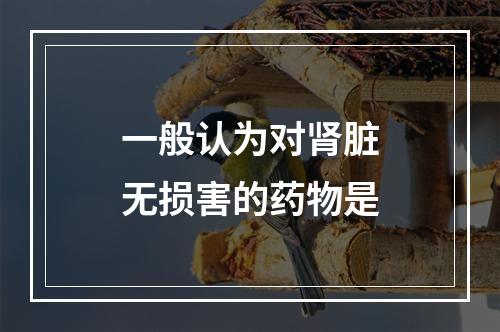 一般认为对肾脏无损害的药物是