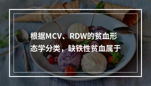 根据MCV、RDW的贫血形态学分类，缺铁性贫血属于