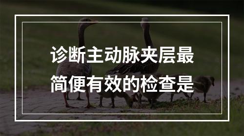 诊断主动脉夹层最简便有效的检查是