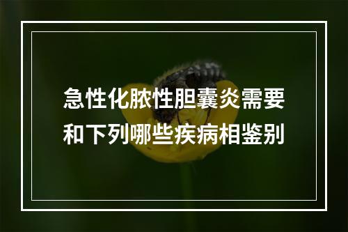 急性化脓性胆囊炎需要和下列哪些疾病相鉴别