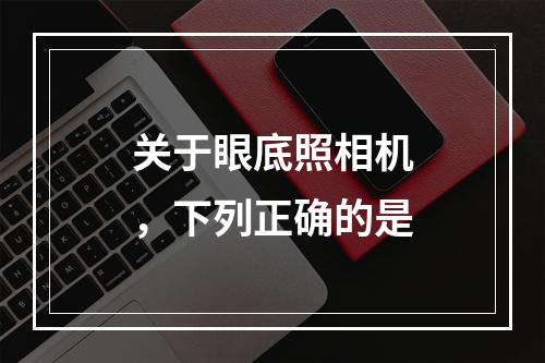 关于眼底照相机，下列正确的是