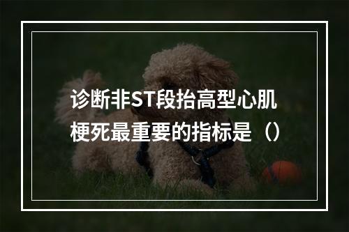 诊断非ST段抬高型心肌梗死最重要的指标是（）