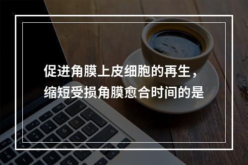 促进角膜上皮细胞的再生，缩短受损角膜愈合时间的是