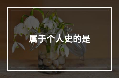 属于个人史的是