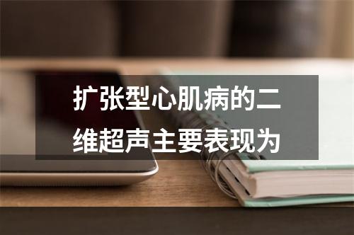 扩张型心肌病的二维超声主要表现为